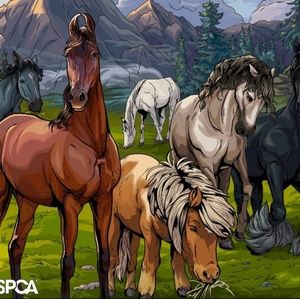 Meet your Posher, Robin